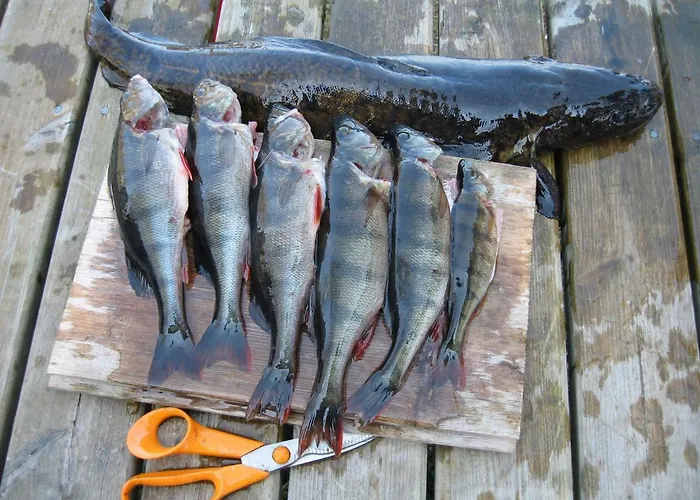 Villa Avanto Suomenniemi