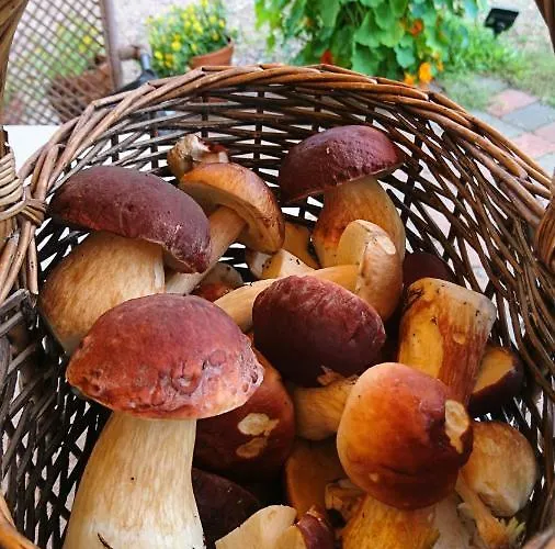 Вилла Avanto Suomenniemi